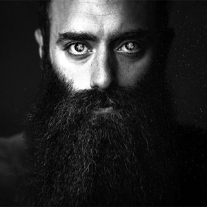 עוד הבשר בין השיניים