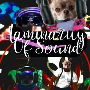 Laminarity Of Sound