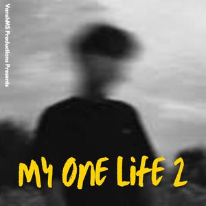 My One Life 2 (feat. Naitik & Shailzaa)