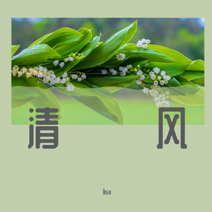 流动