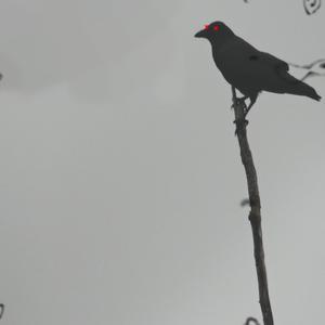 To Stockholm (feat. Sons of Sounds Duo)