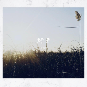 野草