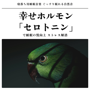 超熟睡ギターメディテーション 癒しの音楽・眠れる曲 リラックスと安眠のための睡眠導入音楽 (自律神経を整える睡眠用 雨)