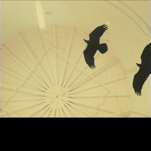 crow