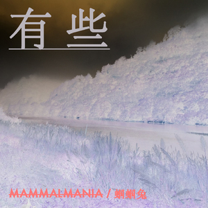 有些 (Dark Park Ambient Mix)