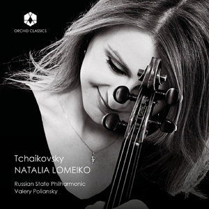 Violin Concerto in D major, Op.35:Canzonetta