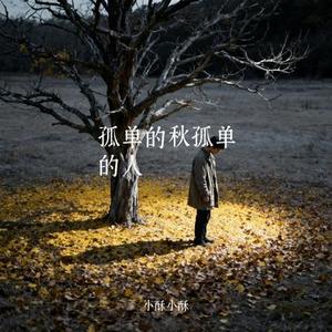 孤单的秋孤单的人 (Cover 潇天)