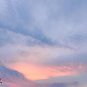 乌云（翻自 沈以诚）