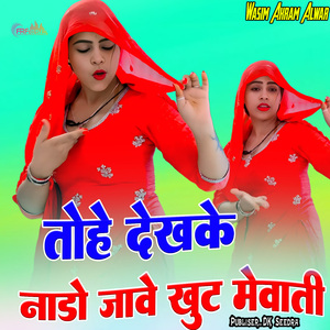 तोय देखके नाडो जावे खूट मेवाती