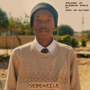 Sebenzile (feat. Imzy da Author)