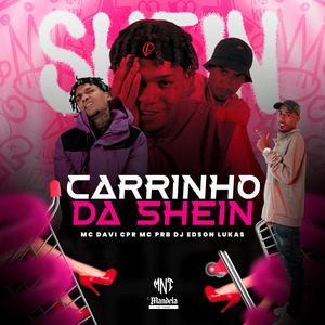 Carrinho da Shein