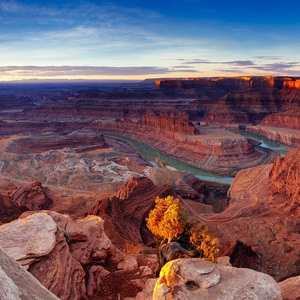 这辈子犯下的错彤大王