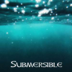 Submersible