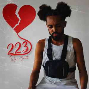 223