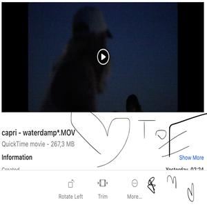 waterdamp (Radio Edit)
