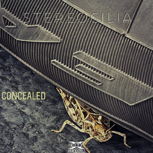 Concealed (Original Mix)
