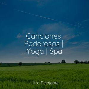 Facilitar