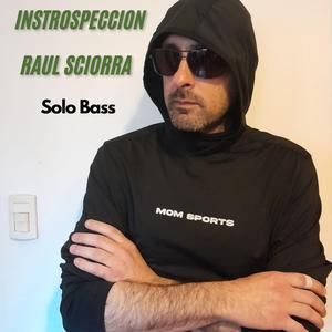 Tommy the cat - the awaeiking