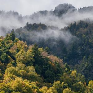 粉红色的法拉利