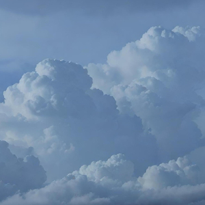 백색 소음 신생아