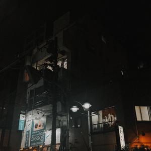 Shadows In The Night