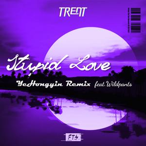 Stupid Love (夜红银 Remix)