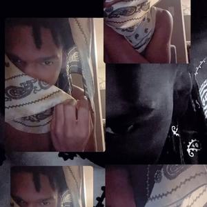 Free GL4 2