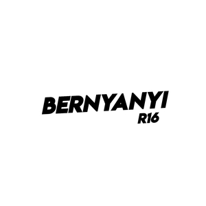 Bernyanyi