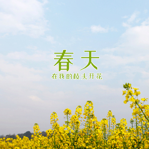 春天在我的枝头开花