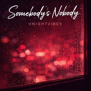 VnightVibes – Somebody’s Nobody