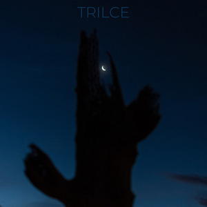 Trilce