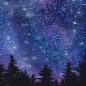 星空の旋律 (Original Instrumental Soundtrack)