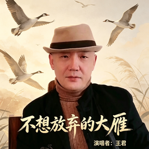 不想放弃的大雁