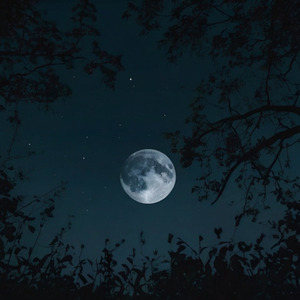 静かな涙の中で