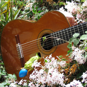 Silent Night (Acoustic Fingerstyle Guitar)