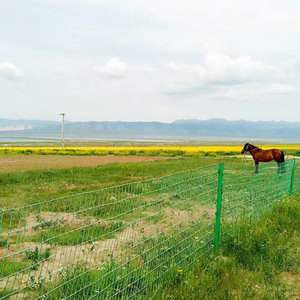这是我故乡的草原