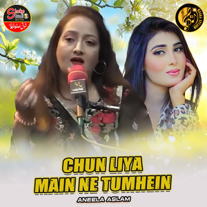Chun Liya Main Ne Tumhein (1)