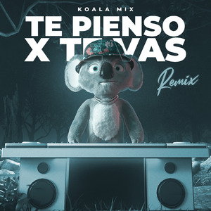 TE PIENSO X TE VAS (Remix)