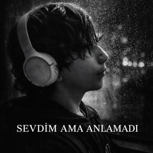 SEVDİM AMA ANLAMADI...