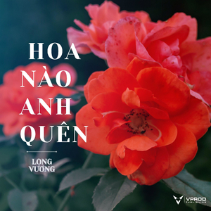 Hoa Nào Anh Quên (Remix)