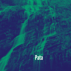 Pata