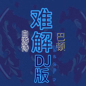 难解（DJ版）