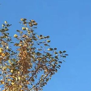 谁能看见山峰 (13)