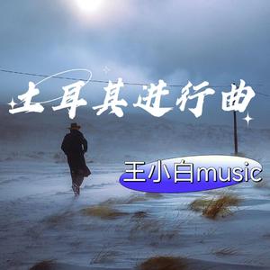 土耳其进行曲（DJ旋律）（王小白Music remix）