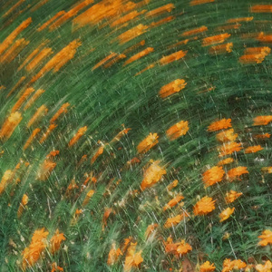 微醺时我们妄图触摸的东西