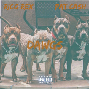 Dawgs
