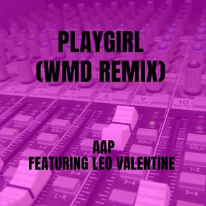 Playgirl (WMD Remix)