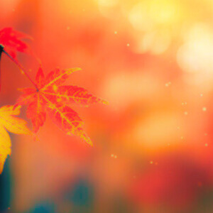 Enjoy Your Time Now