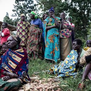 Vertientes Distopicas