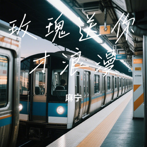 玫瑰送你才浪漫